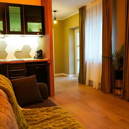 Tatil Evi Aristocratic *