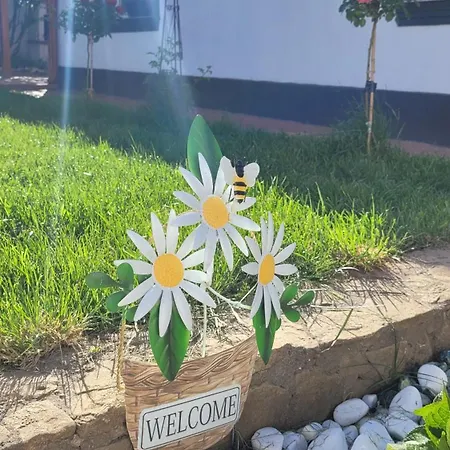 Aristocratic Holiday home