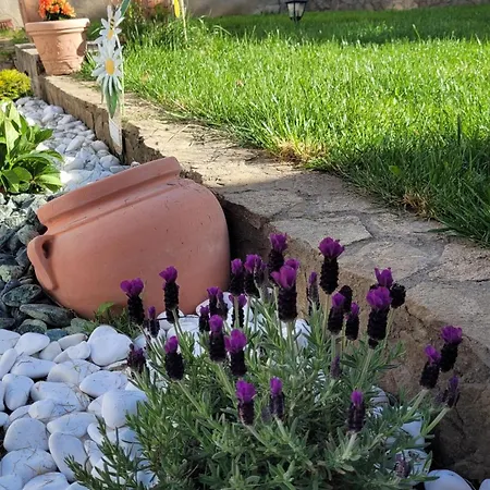 Aristocratic בראשוב