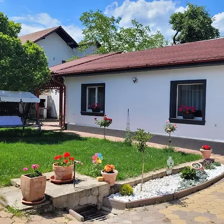 Aristocratic Holiday home Brasov