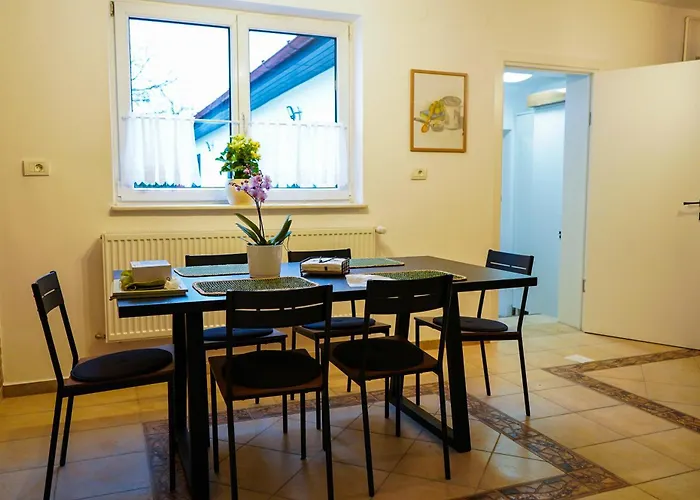 Aristocratic Holiday home Brasov