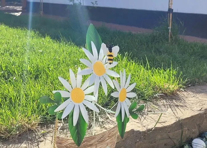 Aristocratic Casa de Férias